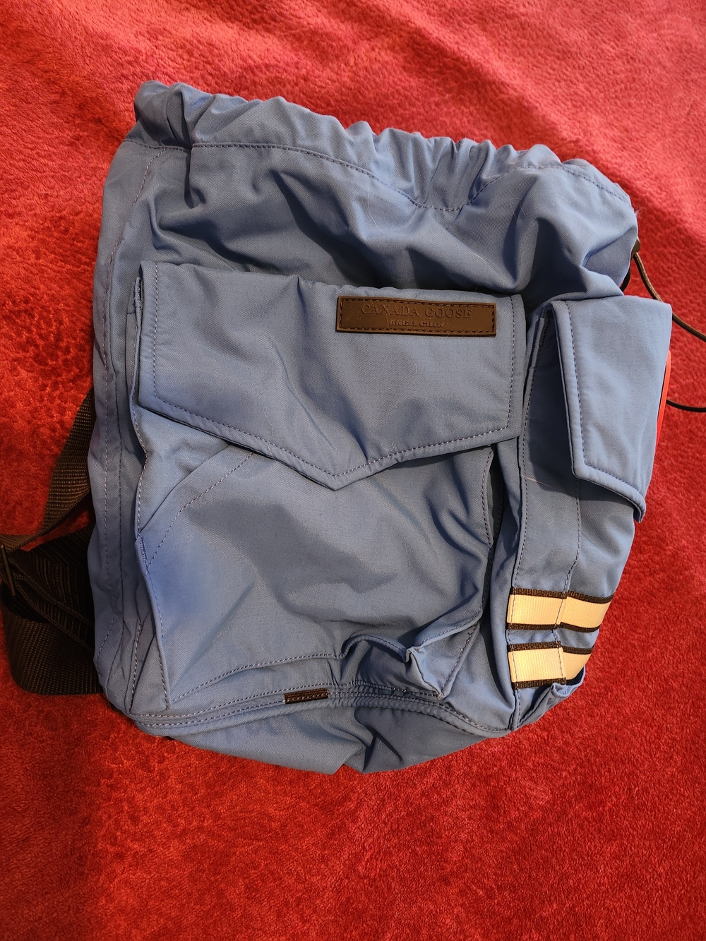 Canada Goose Light Blue Nylon Backpack with Red Logo Patch - Picture 5 of 13